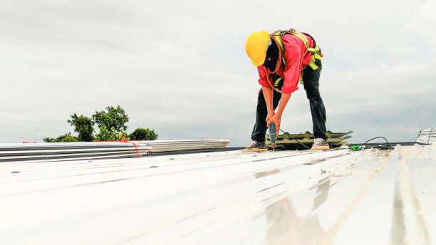 Best Sheet Metal Roofing  in Barnum Island, NY